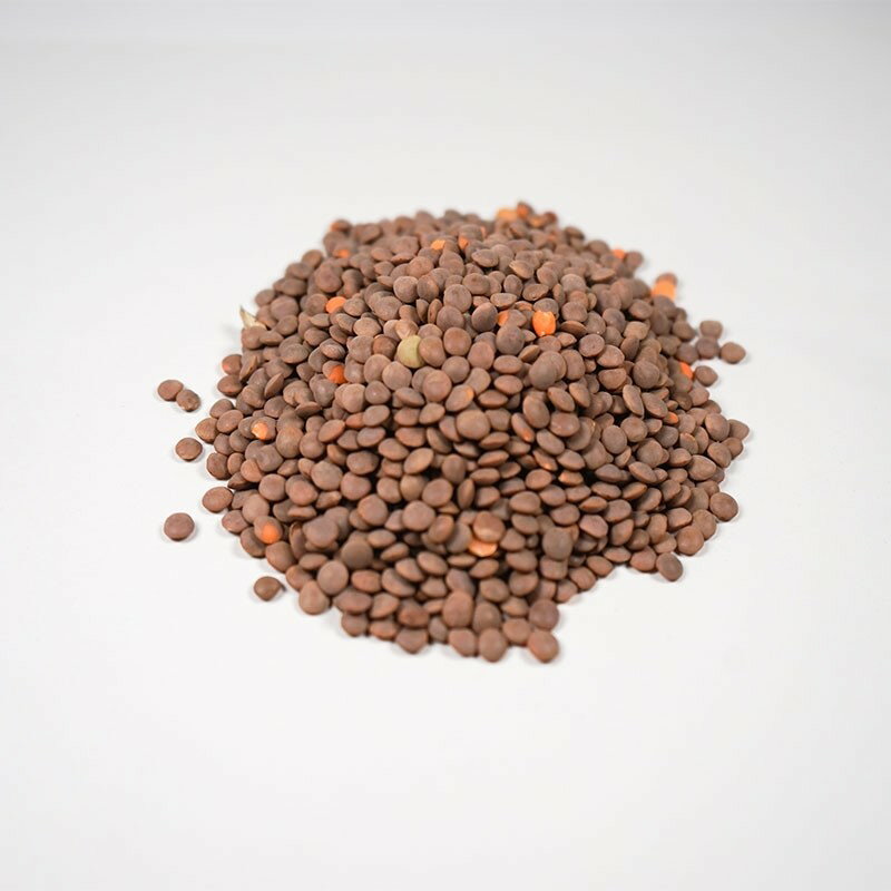 茶レンズ豆 P04L (1Kg) ／アリサン Alishan 【無添加・有機JAS・無漂白・オーガニックなどのドライフルーツやナッツ、食材が多数】 アリサン・オーガニックセンター ALISHAN alishan