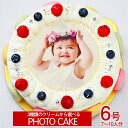 写真ケーキ お祝い　シェリーブラン マカロン 写真ケーキ6号サイズ 直径18cm 7〜10名用サイズ　生クリーム・イチゴクリーム・チョコクリームの3種類から選べる写真ケーキ 1