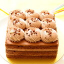 送料無料 バースデーケーキ　スクエアショコラケーキ4号（約11cm）2〜3名サイズ　シェリーブラン店舗で人気のバースデーケーキ