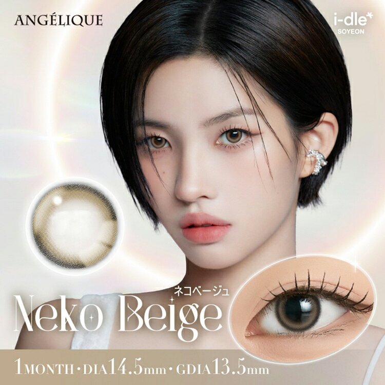 カラコン 1ヶ月 アンジェリーク 1箱2枚入り×2箱セット 度あり 度なし ANGELIQUE1mo...