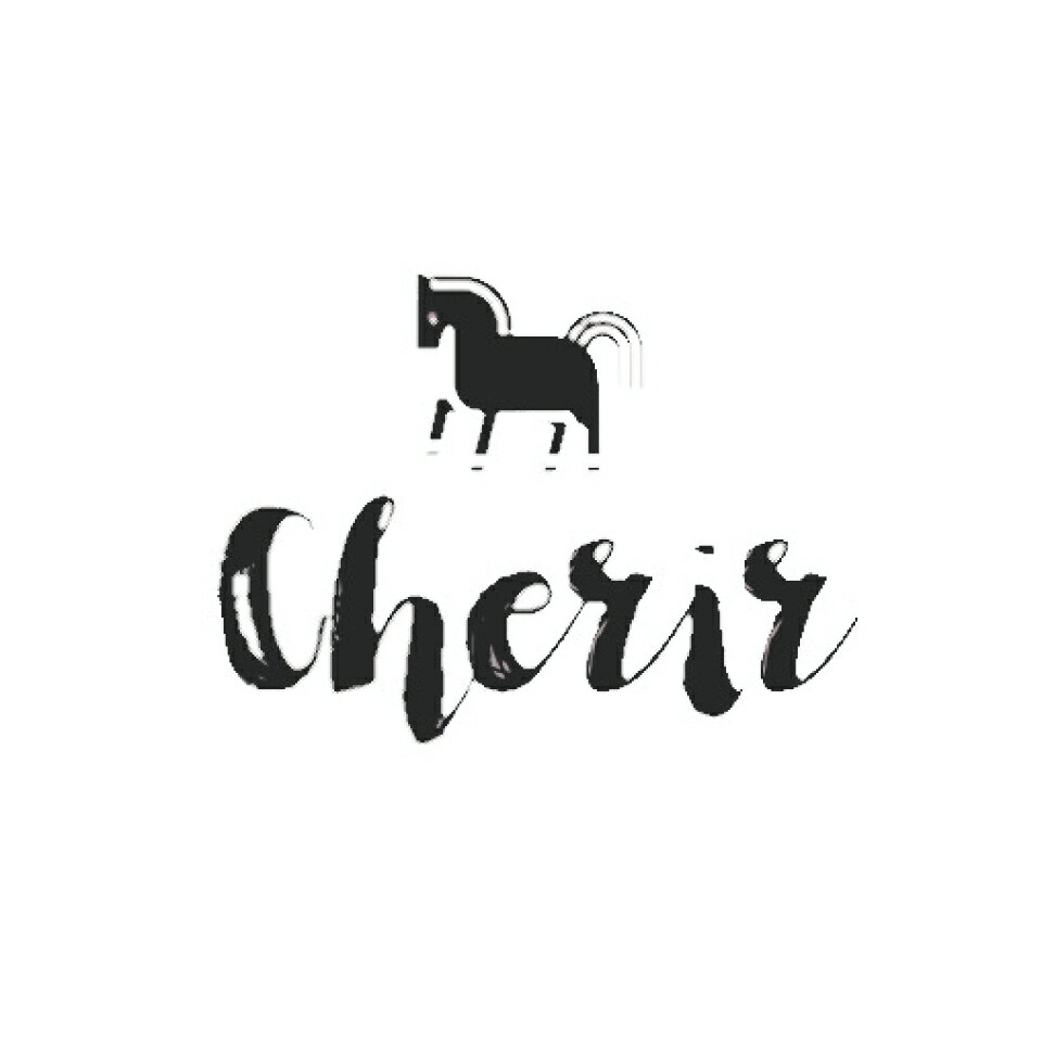 Shop icon