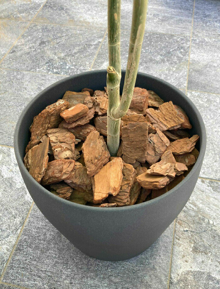 �С������å� 50L ���åɥ��å� ����̵�� ��� �����ǥ˥� �ޥ���󥰺� L���������� ������