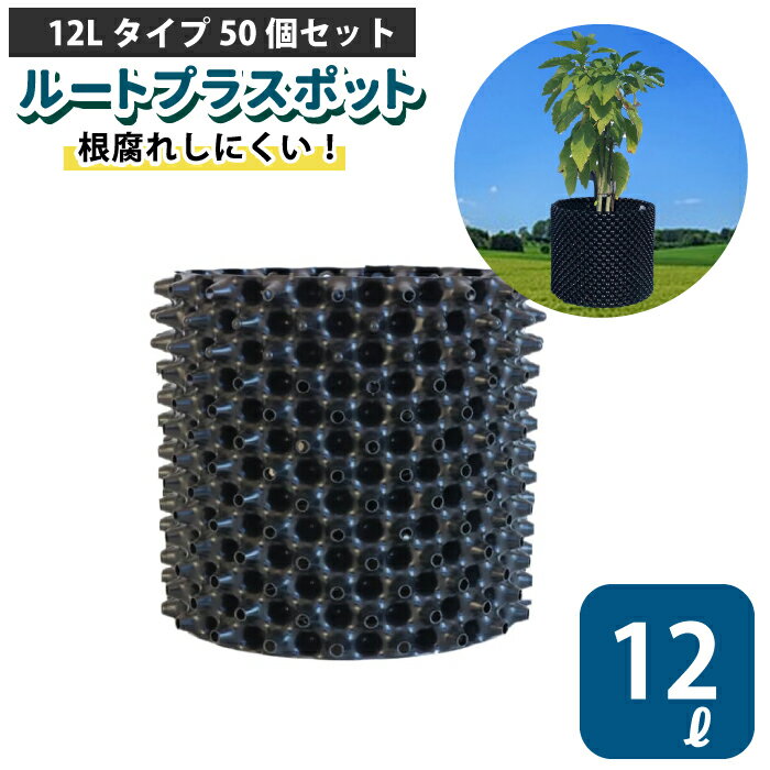 楽天チェリーベル キッチンルートプラスポット 12L 【50個セット】12リットル 鉢 高機能植木鉢 果樹向けポット エアープルーニングコンテナ 栄工業 根巻き防止 空気剪定 高耐久 果樹苗木 ポット 【品番：GS-AP250M】