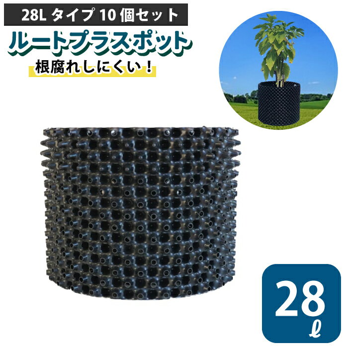 ルートプラスポット 28L 【10個セット】28リットル 鉢 高機能植木鉢 果樹向けポット エアープルーニングコンテナ 栄工業 根巻き防止 空気剪定 高耐久 果樹苗木 ポット 【品番：GS-AP350S】