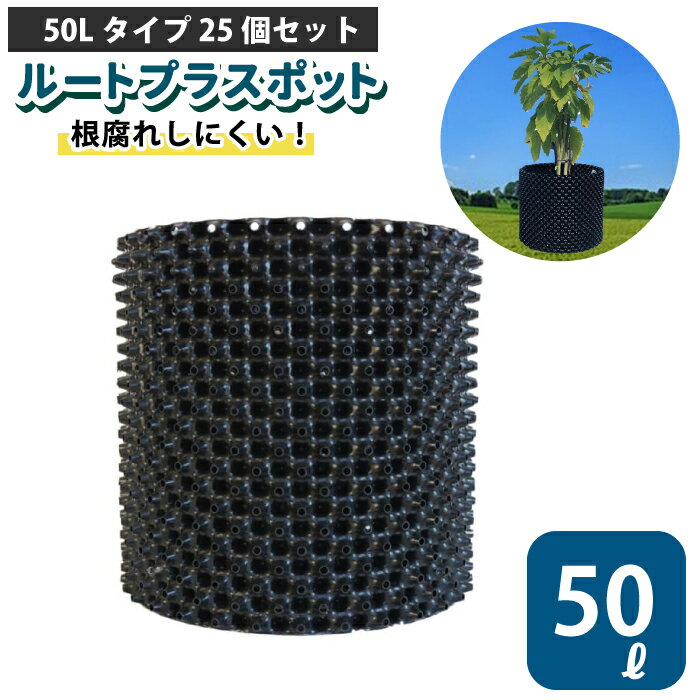 楽天チェリーベル キッチンルートプラスポット 50L 【25個セット】50リットル 鉢 高機能植木鉢 果樹向けポット エアープルーニングコンテナ 栄工業 根巻き防止 空気剪定 高耐久 果樹苗木 ポット 【品番：GS-AP400M】