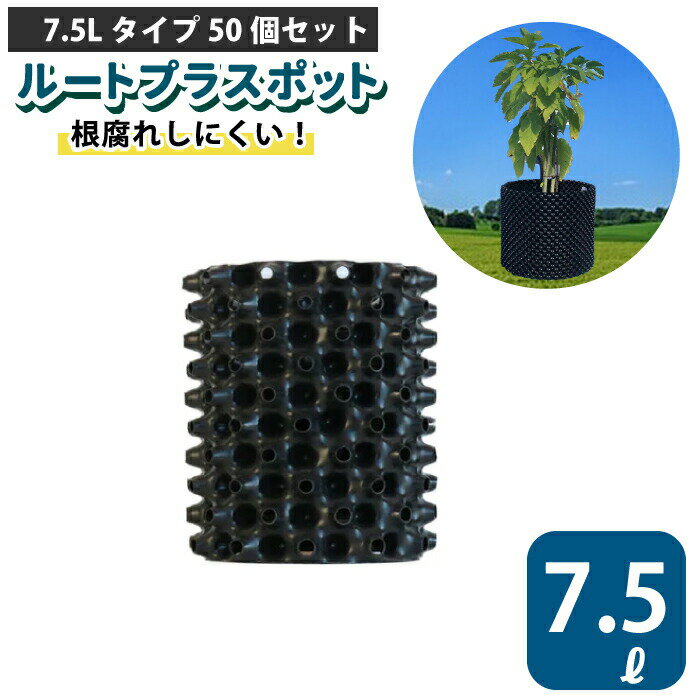 楽天チェリーベル キッチンルートプラスポット 7.5L 【50個セット】7.5リットル 鉢 高機能植木鉢 果樹向けポット エアープルーニングコンテナ 栄工業 根巻き防止 空気剪定 高耐久 果樹苗木 ポット 【品番：GS-AP200M】