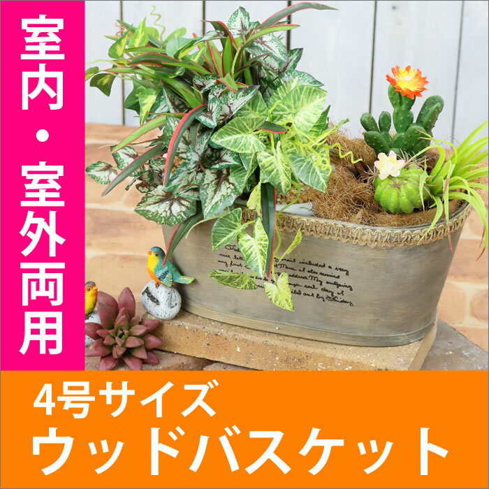 【楽天市場】ツールームテント 6人用 テント ティンバーリッジ 6人用ツールーム 天井 高い テント内182cm リビング部223cm