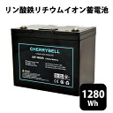 リチウムイオンバッテリー 12V 12.8V 100Ah Bluetooth/DSP内蔵 ソーラー マリン キャンピングカー ディープサイクル 12V 1280Wh 5000サイクル 技適マーク取得済 蓄電池 サブバッテリー用 高機能バッテリー 非常用電源 リン酸鉄 LifePo4