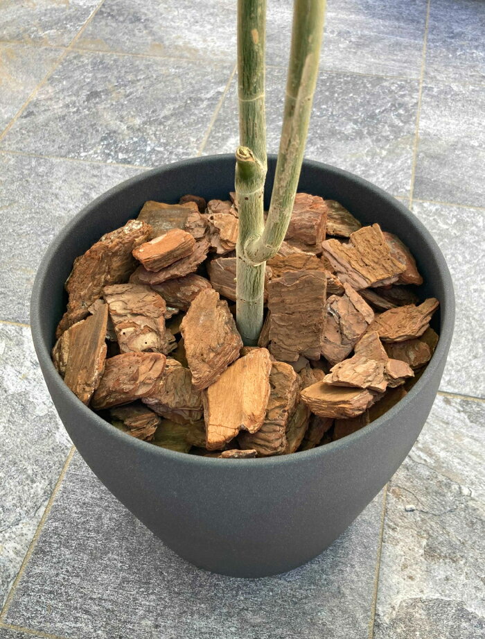 ���åɥ��å� �С������å� �礭�� 50L ��̳�� L������ �ޥ���󥰺� ���åɥ��å� ����̵�� ��� �����ǥ˥� �ޥ���󥰺� L���������� ������ �� ���տ�ʪ �ڱ��� �����к� ����ƥꥢ ���� ���ؤ� ť�Ϥ��ɻ� �����ɻ� ���� �ߤ��ͤ� ���� ���ץ����� �������ƥꥢ