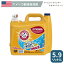 ꡼ ϥޡ  ǽɺ եåʹ  5.9L 200ʬ ɺ OXICLEAN Arm & Hammer