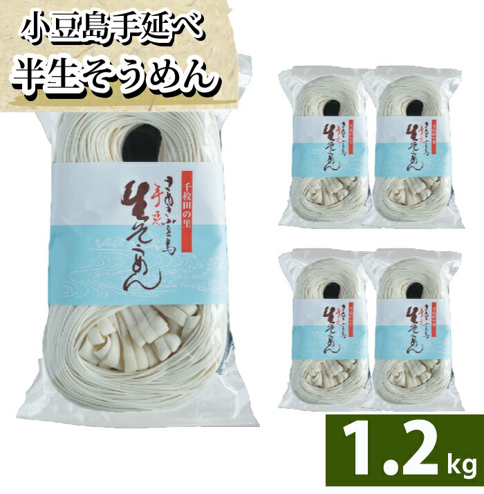 贈答用【船波製麺所】 【小豆島】半生そうめん そうめん 1250g(250g ×5袋) 5パック 1.2kg 小豆島 素麺 ソーメン 食品 ストック 店長いち押し！ パッケージには、生と書いてありますが半生です