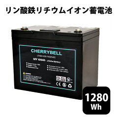 【赤字覚悟】リチウムイオンバッテリー 12V 12.8V 100Ah Bluetooth/DSP内蔵 ソーラー マリン キャンピングカー ディープサイクル 12V 1280Wh 5000サイクル 技適マーク取得済 蓄電池 サブバッテリー用 高機能バッテリー 非常用電源 リン酸鉄 LifePo4