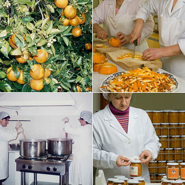 �ڥ��󥸥�ꥢ����2�����ѥ�åԥ󥰤Τ��б��ۥ��󥸥�ꥢ���Ρ��ޡ��ޥ졼�ɡ�����󥸡�ͭ��JAS�ޡ���������ꥢ�������ꥢ�����ۤ򤤤äѤ�����Ӥư�ä�������򥮥�ä��ӵͤ��