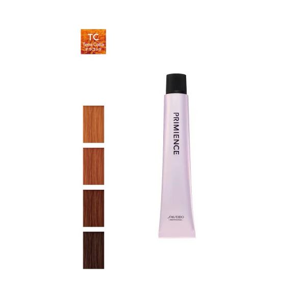 資生堂 プリミエンス マルチライン 80g TC テラコッタ トーン選択