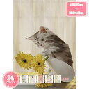 1000円OFFクーポン 玄関のれん ねこ 猫 間仕切り 厚手 洗面所 暖簾 爽やか 可愛い 遮熱断熱 四季 エレガント 動物 柔らかい 開店祝い 子供用 廊下...