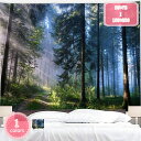 800円OFFクーポン タペストリー 自然の風景の壁掛け 風景写真タペストリー 寝室 森林 自然風景 ストリーム 樹木 緑 日光 防水 部屋 アパート さわやか...