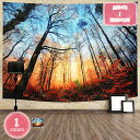 500円OFFクーポン タペストリー ファンタジーの森のタペストリー 風景写真タペストリー 森林 リラックス 緑 日光 フラワー リビングルーム ストリーム ビ...