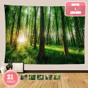 500円OFFクーポン タペストリー 森のタペストリー 風景写真タペストリー 樹木 北欧 景色 森林 緑 リビングルーム 日光 撮影用 植物 美術 ファッション...