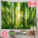 500円OFFクーポン タペストリー 風景写真タペストリー 森のタペストリー 森林 さわやか 景色 日光 トレイル リビングルーム 樹木 撮影用 霧 多機能壁掛...