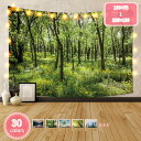 500円OFFクーポン タペストリー 森のタペストリー 風景写真タペストリー 樹木 リラックス 落ち葉 緑 フラワー リビングルーム 森林 背景布 ストリーム ...
