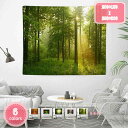 800円OFFクーポン タペストリー 風景写真タペストリー 自然の風景の壁掛け リビングルーム 樹木 トレイル 森林 緑 太陽 自然風景 遮光 部屋 アパート ...
