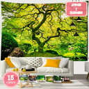 800円OFFクーポン タペストリー 風景写真タペストリー ファンタジーの森のタペストリー 子供 森林 湖 ストリーム 緑 自然風景 樹木 洗える リビングルーム 部屋 なだめる 治す さわやか アパート 北欧 模様替え 多機能壁掛け 撮影用 人気のお祝い 寝室 宿舎 YJSO(3)