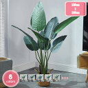 人工観葉植物 フェイクグリーン 大きい インテリア 玄関 インテリアグリーン 観葉植物 鉢植え オフィス リビング 緑のある暮らし 引っ越し祝い 新築祝い 現代...
