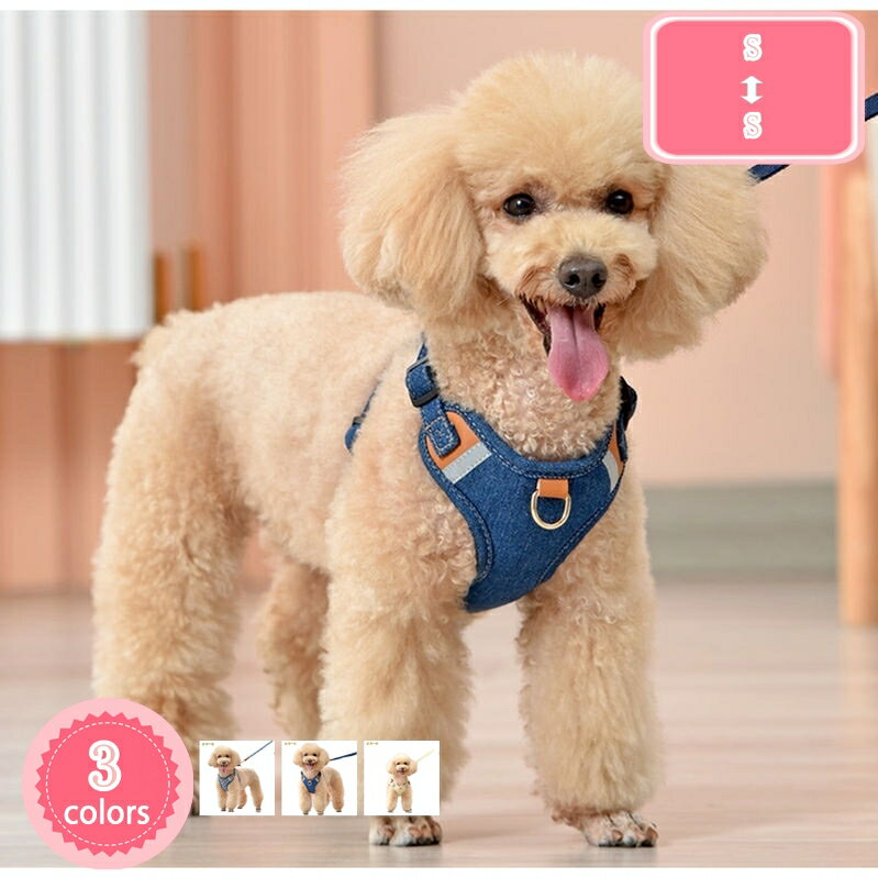 500OFFݥ ϡͥ  ǭ  淿 å  Ĵǽ ȿǺ  ȴʤ 襤  ̵...