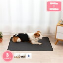 800円OFFクーポン 犬 猫用洗えるペットシーツ ペットマット トイレシート おしっこマット ペット用 トイレ下敷きマット 速乾 滑り止め 洗える 繰り返し使える 超吸収 消臭 防水 エコ 抗菌 介護 漏れ防止 屋内/屋外用 犬用 中型犬 2点入り YJSO