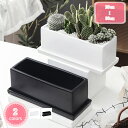 シンプルモダンの方型植木鉢!おしゃれで可愛い。植木鉢 おしゃれ 陶器鉢 方形 20/30cm x 12cm 穴あり 受け皿付 四角 スクエア 長方形 シンプル モダン 白 黒 プランター 鉢 長方形 横長 長鉢 寄せ植え 室内 園芸 観葉植物 多肉植物 塊根植 YJSO