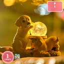 800円OFFクーポン 犬 置物 可愛い ガーデニング ガーデン 雑貨 インテリア 置物ライト 雑貨 オブジェ 屋外 飾り 防水 耐久 プレゼント ギフト ソー...