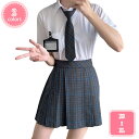 1700円OFFクーポン チェックスカート プリーツスカート ミニ 制服 女子高生 プリーツスカート スクールスカート 制服スカート 女子 高校生 定番 JKユニフォーム ショート丈 Aライン 着痩せ 大きいサイズ 高見え 美尻 プリーツ JKスカート YJSO