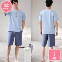 800円OFFクーポン メンズ パジャマ 半袖 ルームウエア 涼しい 夏用 上下セット 紳士 男物 半ズボン 短パン ナイトウエア おしゃれ ポケット付き 寝間着 寝巻 大きいサイズ 男性用 誕生日 夫 父の日 敬老の日 YJSO