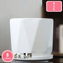 800円OFFクーポン サボテンポット 陶器プランター 可愛い植木鉢 サボテン鉢 装飾プランター 水切れ良い 屋内外利用可 多肉植物ポット フラワーポット 観葉植物植木鉢 鉢の底に排水穴付き 小型植木鉢 鉢植え ガーデン用品 おしゃれな植木鉢 YJSO