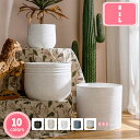 1000円OFFクーポン サボテン鉢 北欧 シンプル 植木鉢 セメント モダン 丸形 排水孔付き フラワーポット 通気性 大型 モダン ヨーロッパ調 スタイル ...
