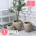 2000円OFFクーポン テラコッタ製 植木鉢 多肉植物鉢 北欧 モダン 鉢植え 底に水抜き穴あり プラスチックトレイ付き 大口径 シンプル 円形 おしゃれ ガ...