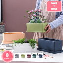 陶器製 鉢植え 植木鉢 シンプル 排水孔付き ヨーロッパ調 長方形 通気性 サボテン鉢 トレイ付き ガーデンポット モダン 大口径 クリエイティブ インテリア 室内 屋外 庭インテイア適用 個性的 北欧 スタイル おしゃれ ショップ ベランダ 飾 YJSO