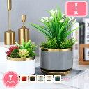 300円OFFクーポン 植木鉢 陶器鉢 鉢植え 陶器 底に水抜き穴あり かわいい 園芸用品 北欧 サボテン 多肉植物鉢 トレイ一体型 クリエイティブ 電気めっき植木鉢 シンプル ホームインテリア 観葉植物 鉢植え植物 多肉植物 サボテン DIY デスクの装飾 YJSO