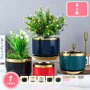 777円OFFクーポン 植木鉢 陶器鉢 おしゃれ プランター 鉢植え 北欧 底穴あり テラコッタ 陶器 シンプル クリエイティブ トレイ一体型 モダン 室内 植え替え 鉢植え 園芸 観葉植物 ガーデン 庭 おしゃれ 電気めっき植木鉢 ガーデニング ガーデン雑貨 お洒落 飾 YJSO