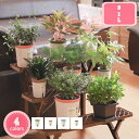 800円OFFクーポン 植木鉢 フラワーポット 内外2鉢設計 H12.8/16.8/20.9cm 部屋飾り プラスチック エコ バルコニー 観葉植物 自動吸水 ...