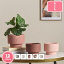 300円OFFクーポン ガーデンポット 植木鉢 陶器製 多肉植物鉢 底穴あり 通気性 受皿付き シンプル クリエイティブ テラコッタ鉢 モランディ バルコニーの装飾 フラワーポット プランター 大口径 おしゃれ ガーデン 多肉植物 サボテン デスクトップの装飾 YJSO
