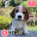 犬の置物 ビーグル 子犬 いぬ イヌ 動物 オーナメント ガーデン 犬 置物 オーナメント ガーデニング オブジェ 卓上 机の飾り 屋外用彫像 かわいい ガーデニング雑貨 心癒し おもちゃ 展示用 庭に置く おもしろグッズ イヌグッズ YJSO