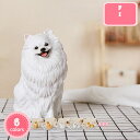 800円OFFクーポン 犬のオーナメント 犬オブジェ カワイイ 本物そっくり 犬置き物 犬おきもの 動物置き物 可愛い雑貨 リビング 卓上 出窓 現実的 おきも...