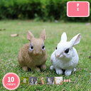 500円OFFクーポン 置物 うさぎ 兎 樹脂 北欧 ガーデニング 飾り物 庭 ガーデン おしゃれ オブジェ オーナメント うさぎ雑貨 インテリア 部屋装飾品 可愛い雑貨 ガーデニング雑貨 ウサギおきもの 現実的 いい雰囲気出す 兎モデル 写真道具 YJSO