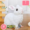 1000円OFFクーポン 可愛い置物 うさぎ フィギュア 屋外ガーデン装飾 庭 オブジェ 樹脂装飾 庭の装飾 ウサギ ガーデンオーナメント 飾り ガーデンオブジェ かわいい 兎 雑貨 デスク装飾 机の装飾 庭の飾り ウサギオブジェ 兎置物 アクセサリー YJSO