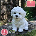 300円OFFクーポン 動物 オブジェ いぬ インテリア雑貨 お座り アニマル雑貨 置き物 飾り物 置物 屋外 室内 おもしろい リビング ポリレジン ガーデン 記念品 シンプル ナチュラル ミドルサイズ お祝い オーナメント ホワイト 幸福 防水 イヌ 贈り物 YJSO