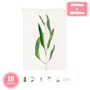 のれん おしゃれ 幅100 間仕切り 植物 厚手 子供用 ドアカーテン 見えにくい おもしろい 新生活 簡単取り付け 熱帯バナナの葉 簡単 間仕切り 爽やか 賃貸部屋 年中使用 インテリア キッチン プレゼント ロング暖簾 夏物 省エネ 風をふさぐ YJSO