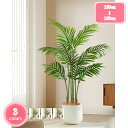 フェイクグリーン リアル 自然 大きい 観葉植物 人工観葉植物 フェイクツリー 簡単世話いらず オフィス ホーム デコレーション 水やり不要 お世話不要 現代的...