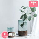 777円OFFクーポン フラワーベース 大きい ガラス 直径12cm ギフト 花器 高30cm 木製 花瓶 セパレート 北欧 エレガント ユニーク シンプル 円柱 母の日 大きい ガラス ウッド 花 フラワー フラワーグラス ガラスベース おしゃれ 置物 インテリア雑貨 インテリア YJSO
