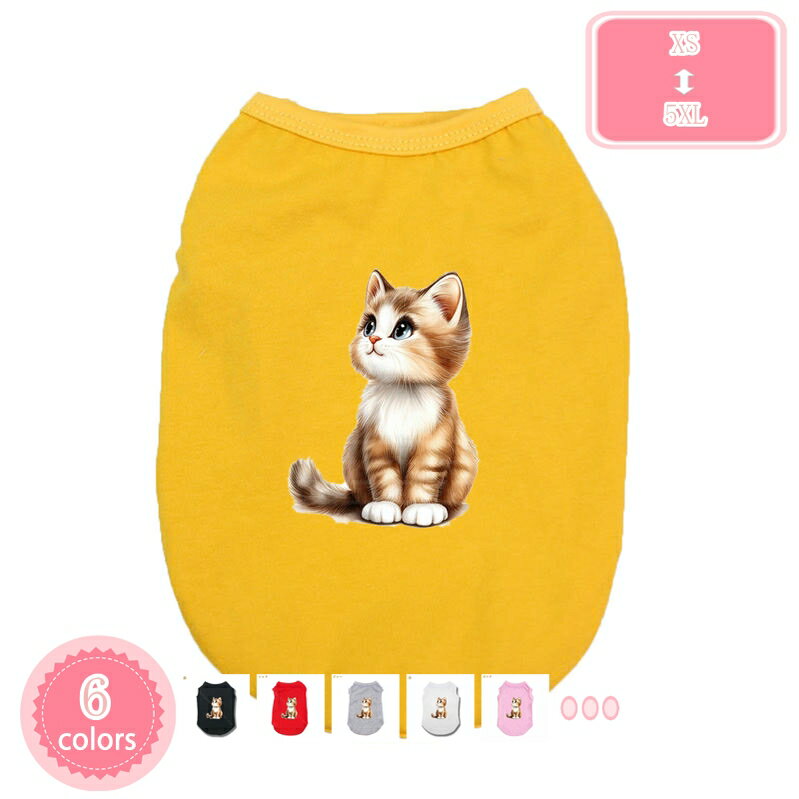 1000OFFݥ   ղ T 󥯥ȥå  ݼ µʤ    淿     ...